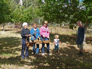 Under the chestnut trees: Vicki, Cath, Carmel, Zoe (a local) and pizza chef Geoff at Wandiful Produce. (Sonya)